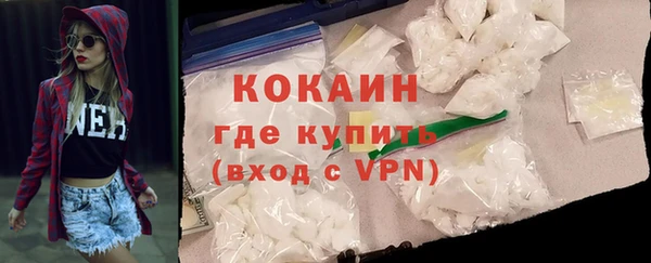 индика Горно-Алтайск