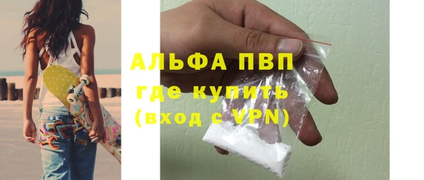 индика Горно-Алтайск