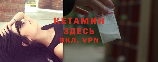 индика Горно-Алтайск
