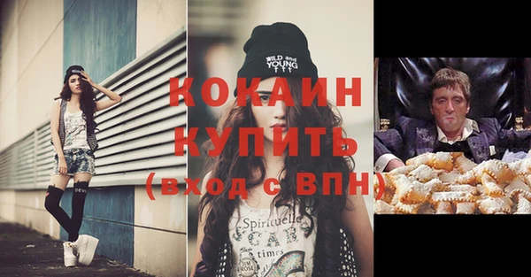 индика Горно-Алтайск