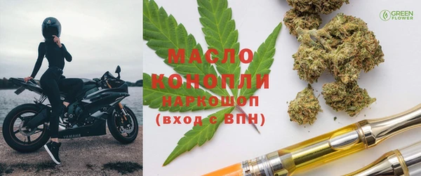 индика Горно-Алтайск