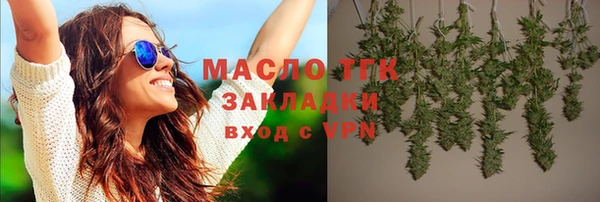 индика Горно-Алтайск