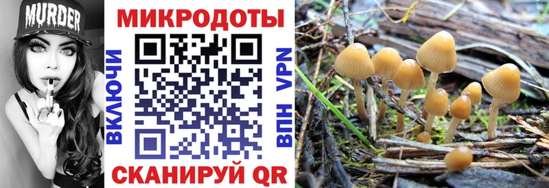 Псилоцибиновые грибы прущие грибы  Купить закладки  Кола 